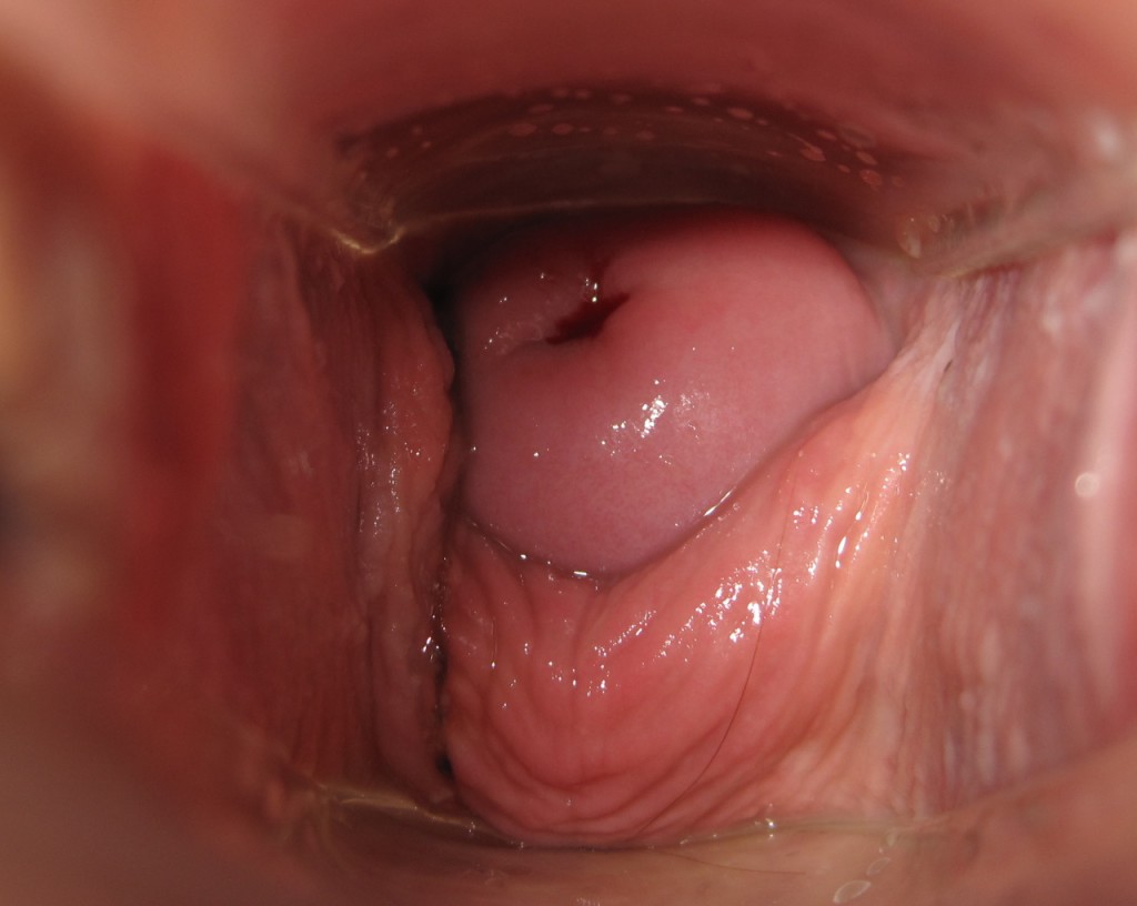 Inside Vagina - Penis inside the vagina | TubeZZZ Porn Photos