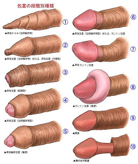 Different Porn - Different types of sex styles | TubeZZZ Porn Photos