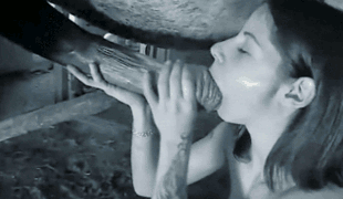 Horse Cum Animated Gif Porn - She swallows horse cum | TubeZZZ Porn Photos