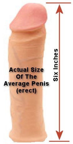 Average Size Cock Porn - Whats the average penis size | TubeZZZ Porn Photos