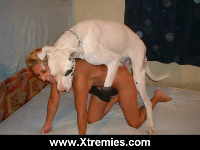 Pics of girls having sex with dogs