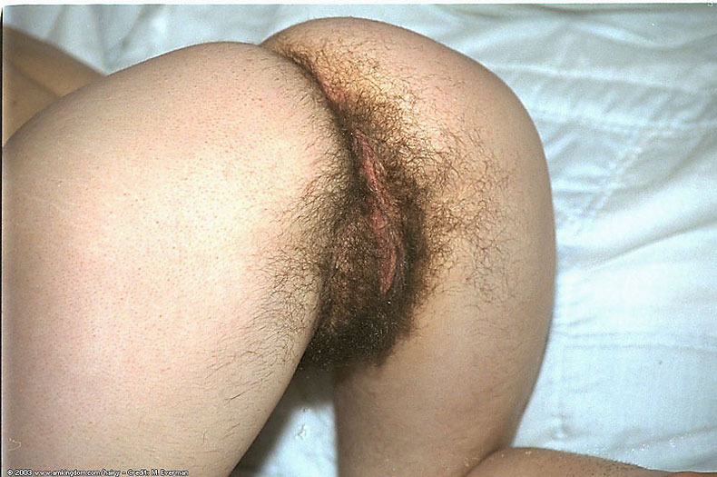 Hairy ass pussy