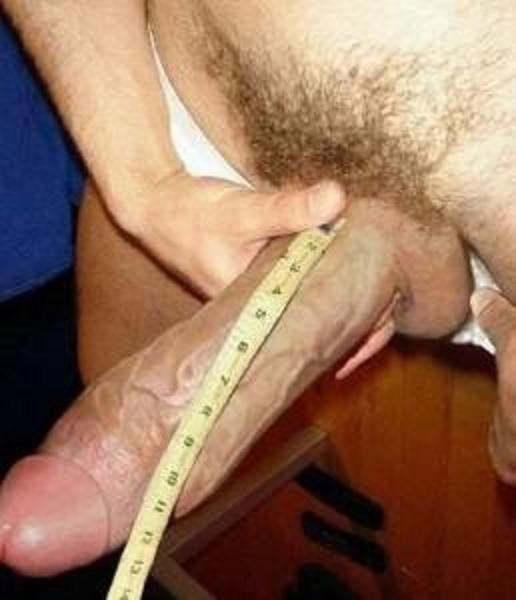 Largest Dick Cock - Largest penis recorded | TubeZZZ Porn Photos