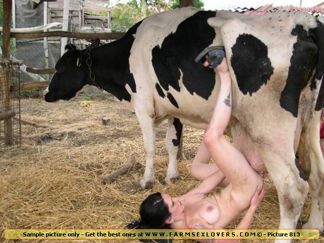Cow Sex With Girles Movies - Cow Porn | Sex Pictures Pass