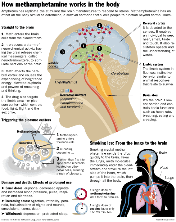 Methamphetamine And Porn - Effects of smoking crystal meth | TubeZZZ Porn Photos