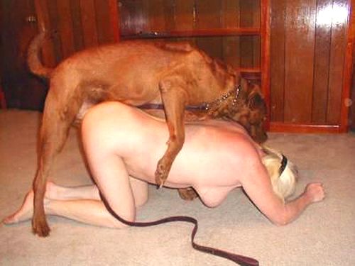 Free Dogsex Stories