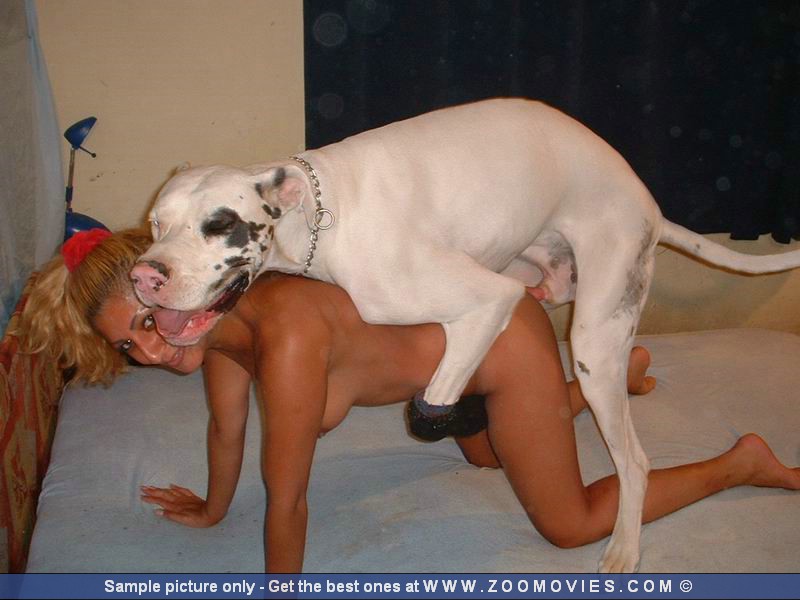 Dog Sex Porn Gifs - Girl fucked by dog | TubeZZZ Porn Photos