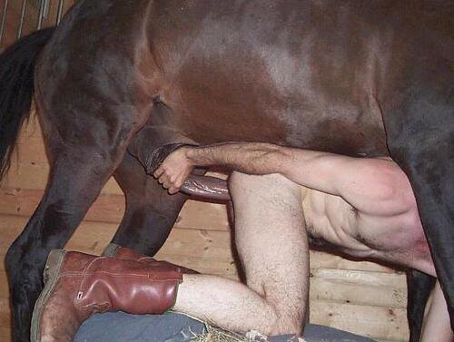 Sex Horse - Man Having Sex With Horse | Sex Pictures Pass