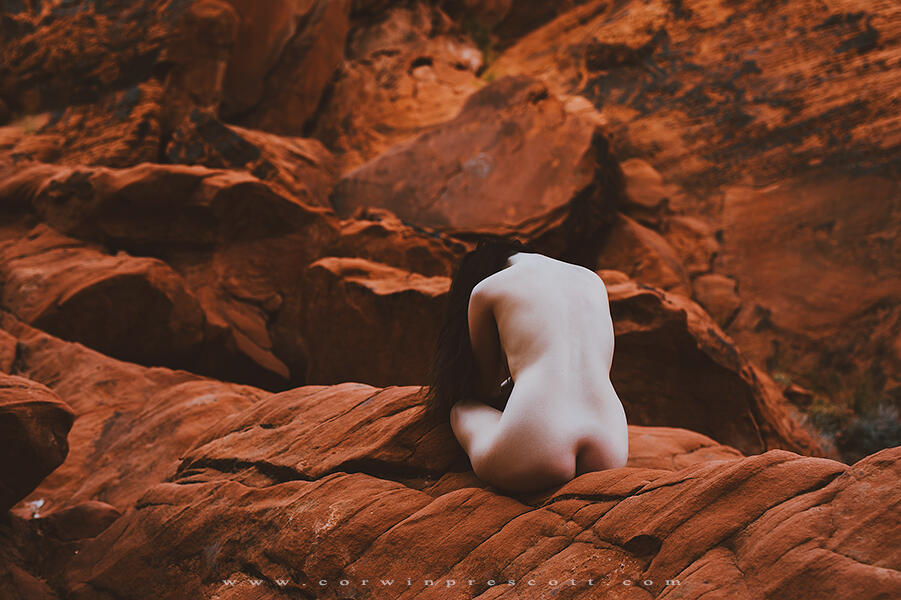 Amber Rose / McConnell / amberrosemc Nude OnlyFans Leaks 20