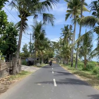 Katya-clover Nude Leaks OnlyFans Photo 82