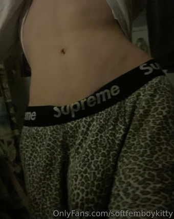 softfemboykitty Nude Leaks OnlyFans Photo 20