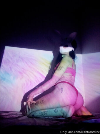 lilithtransfree Nude Leaks OnlyFans Photo 12