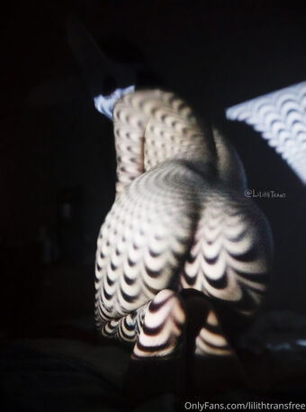 lilithtransfree Nude Leaks OnlyFans Photo 17