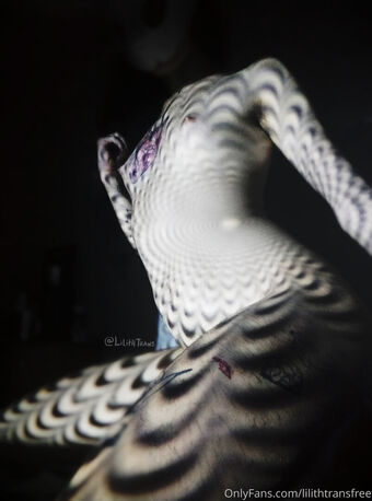 lilithtransfree Nude Leaks OnlyFans Photo 18