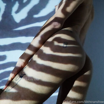 lilithtransfree Nude Leaks OnlyFans Photo 11