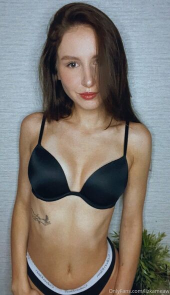 lizkameaw Nude Leaks OnlyFans Photo 9
