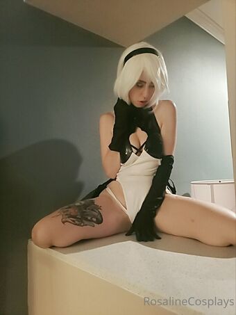 rosalinechan Nude Leaks OnlyFans Photo 4