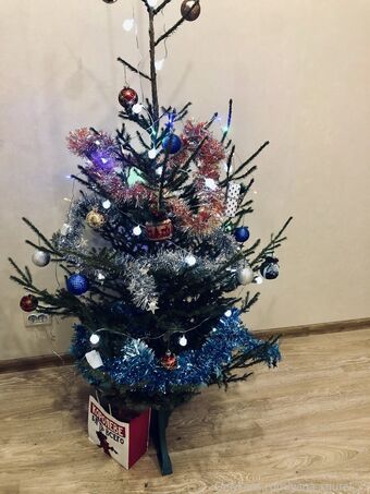 yana_squrel_22 Nude Leaks OnlyFans Photo 13