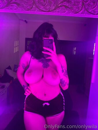 wilaribeiro Nude Leaks OnlyFans Photo 82