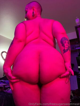 freesugarsweetmeat Nude Leaks OnlyFans Photo 12