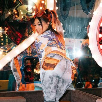 Megan Thee Stallion Nude Leaks OnlyFans Photo 181