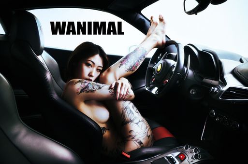 Wanimal Models Nude Leaks OnlyFans Photo 20