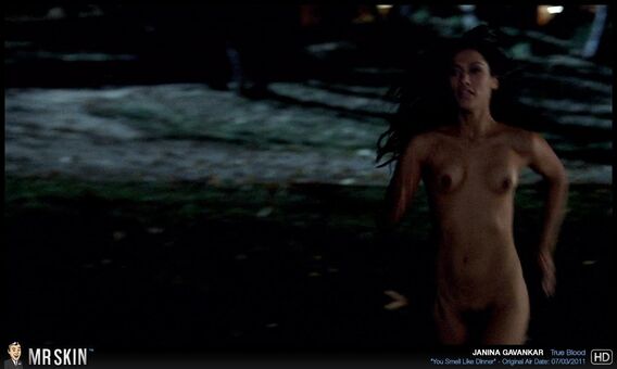 Janina Gavankar Nude Leaks OnlyFans Photo 17