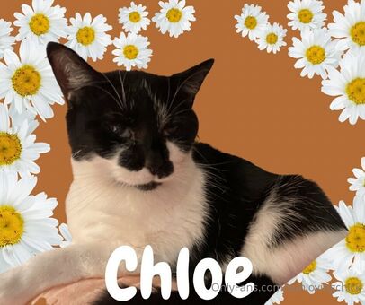 sunlovingchick Nude Leaks OnlyFans Photo 29