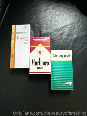 thebeautyofsmoking Nude Leaks OnlyFans Photo 11