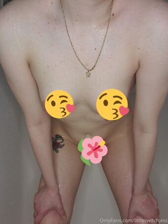 littleswitchjess Nude Leaks OnlyFans Photo 12