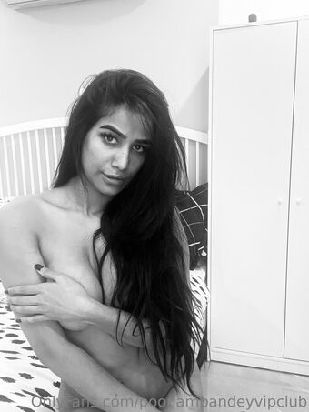 poonampandeytv Nude Leaks OnlyFans Photo 22