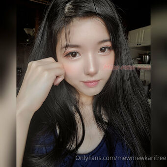 MewMewKari Nude Leaks OnlyFans Photo 2