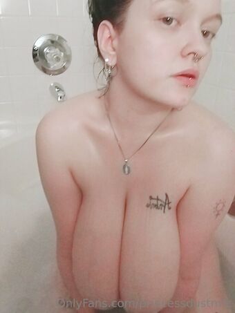 princessdustmfc Nude Leaks OnlyFans Photo 13