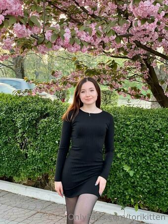 torikitten Nude Leaks OnlyFans Photo 34