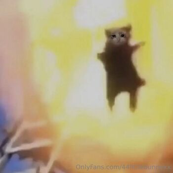 Bunn / 44littlebunnyxx nude photo #18