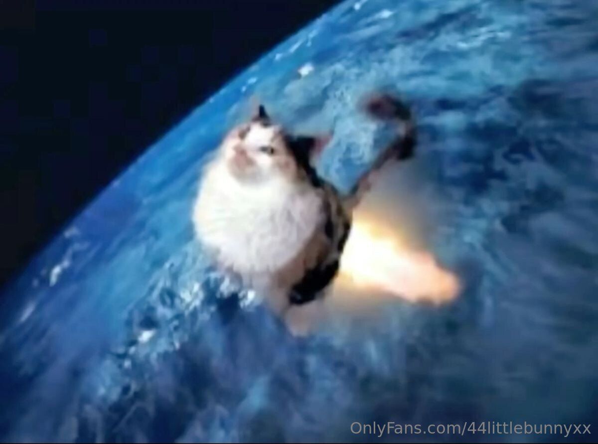 Bunn / 44littlebunnyxx nude photo #19