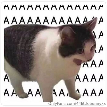 Bunn / 44littlebunnyxx nude photo #22