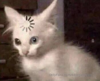 Bunn / 44littlebunnyxx nude photo #30