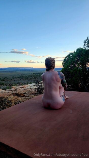 Baby Pinecone Fre / ababypineconefree / ababypinecone nude photo #9