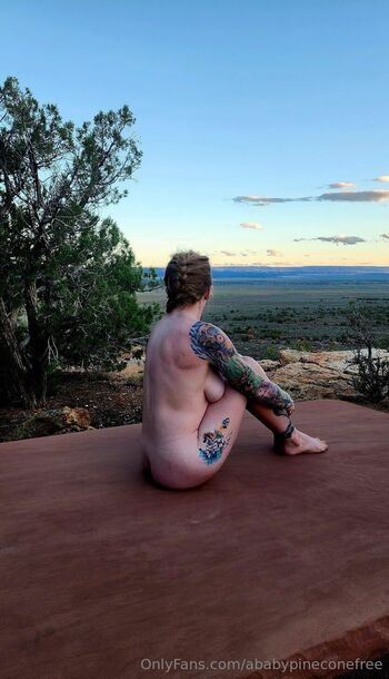 Baby Pinecone Fre / ababypineconefree / ababypinecone nude photo #10