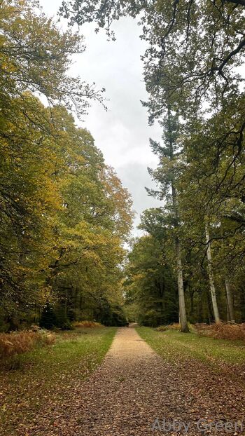 Abby Gree / abbygreen698698 / abby_green_698_ / abbygreen698 nude photo #14