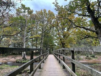 Abby Gree / abbygreen698698 / abby_green_698_ / abbygreen698 nude photo #31