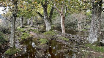 Abby Gree / abbygreen698698 / abby_green_698_ / abbygreen698 nude photo #34