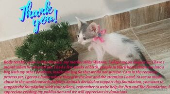 Abby watso / abbywatson325 nude photo #18