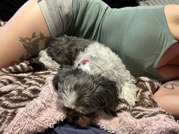 CidneyTaylo / acaiadynna nude photo #3