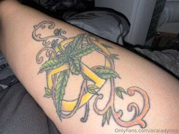 CidneyTaylo / acaiadynna nude photo #16