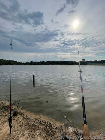 acclimat / acclimate7 nude photo #2