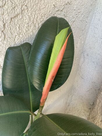 Adora Bell Fre / adora_belly_free nude photo #38