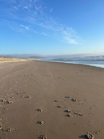 A / adsss3 nude photo #20