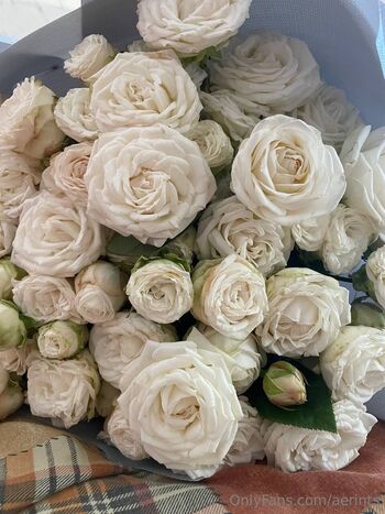 Aeri / aerints nude photo #34